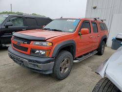 Salvage trucks for sale at Windsor, NJ auction: 2012 Chevrolet Colorado LT