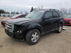 Salvage cars for sale from Copart Bowmanville, ON: 2011 Ford Escape XLT