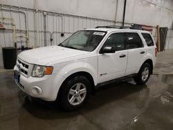 Salvage cars for sale at Avon, MN auction: 2009 Ford Escape Hybrid