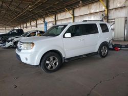 Salvage cars for sale at Phoenix, AZ auction: 2009 Honda Pilot EXL