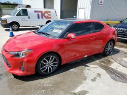 Salvage cars for sale at New Orleans, LA auction: 2014 Scion TC