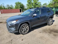 Salvage cars for sale at Baltimore, MD auction: 2019 Toyota Rav4 XLE Premium