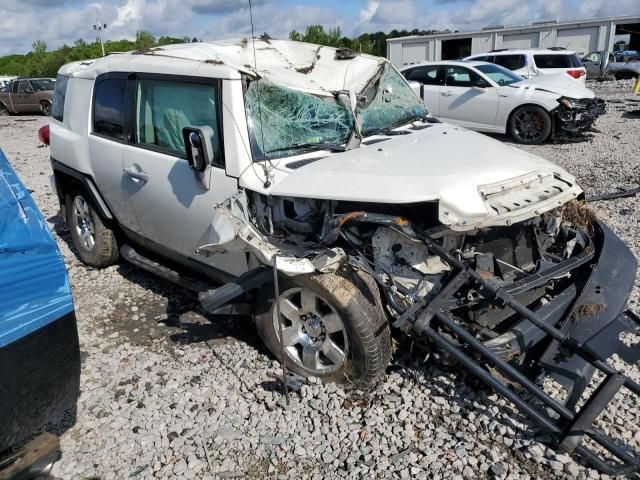 2010 Toyota FJ Cruiser