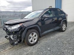 Toyota salvage cars for sale: 2020 Toyota Rav4 XLE