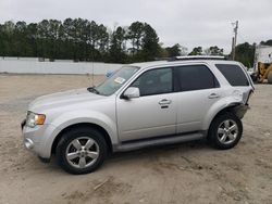 Salvage cars for sale at Seaford, DE auction: 2010 Ford Escape Limited