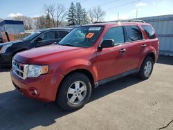 Salvage cars for sale at Ham Lake, MN auction: 2010 Ford Escape XLT