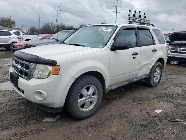 2009 Ford Escape XLT