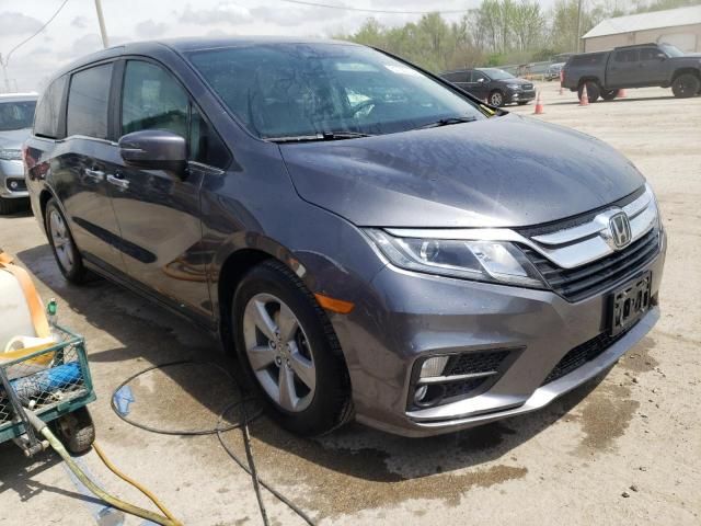 2019 Honda Odyssey EXL