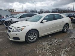 Chevrolet Malibu 1LT salvage cars for sale: 2013 Chevrolet Malibu 1LT