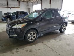 2013 Ford Escape SE en venta en Lexington, KY