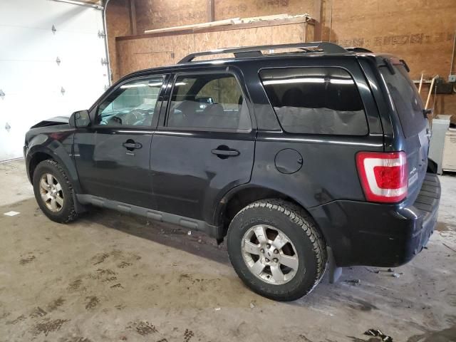 2010 Ford Escape Limited