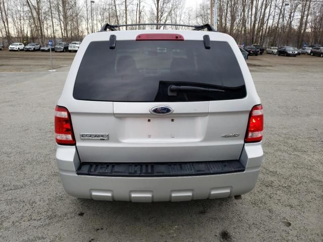 2009 Ford Escape XLT