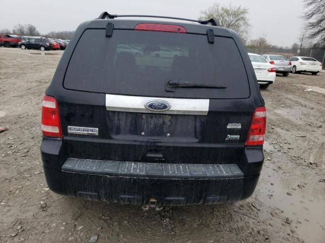 2010 Ford Escape Limited