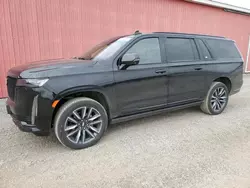 Salvage cars for sale from Copart London, ON: 2023 Cadillac Escalade ESV Sport