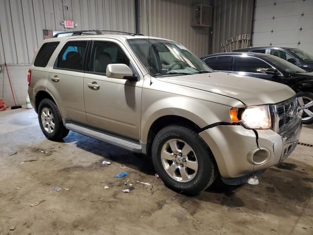 2011 Ford Escape Limited