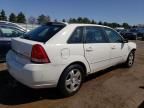 2005 Chevrolet Malibu Maxx LT