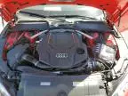 2024 Audi S5 Prestige