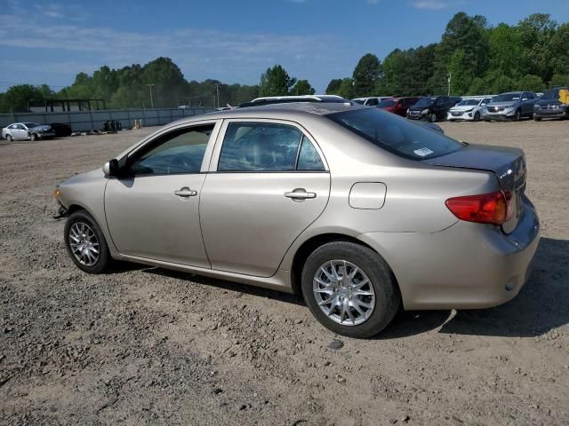 2010 Toyota Corolla Base