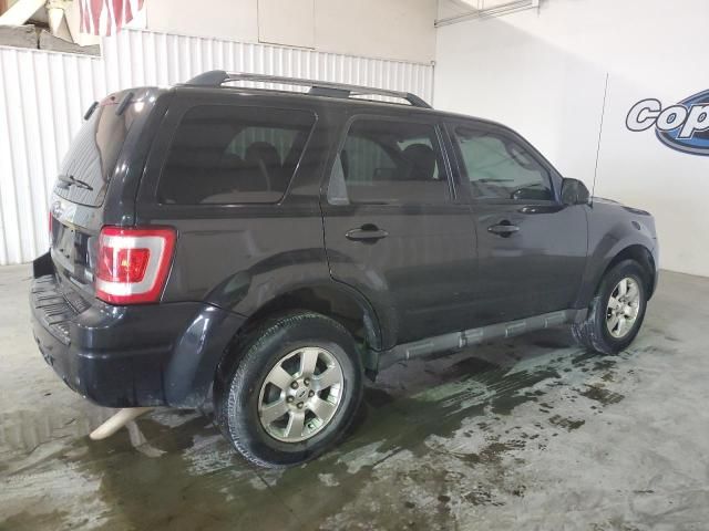 2011 Ford Escape Limited