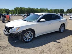 Salvage cars for sale from Copart Conway, AR: 2010 Nissan Maxima S