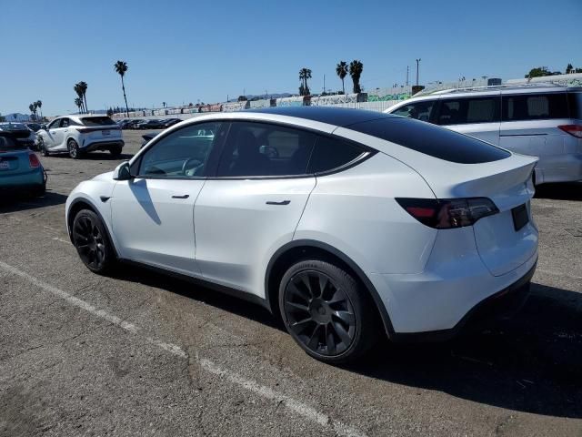 2020 Tesla Model Y