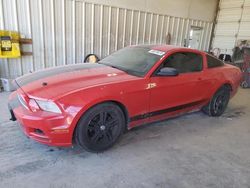 Salvage cars for sale at Abilene, TX auction: 2014 Ford Mustang