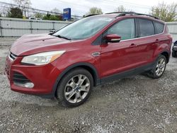 Ford salvage cars for sale: 2013 Ford Escape SEL