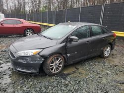 Ford Focus SE salvage cars for sale: 2017 Ford Focus SE