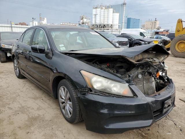 2011 Honda Accord EXL