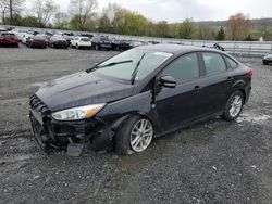 Ford salvage cars for sale: 2017 Ford Focus SE