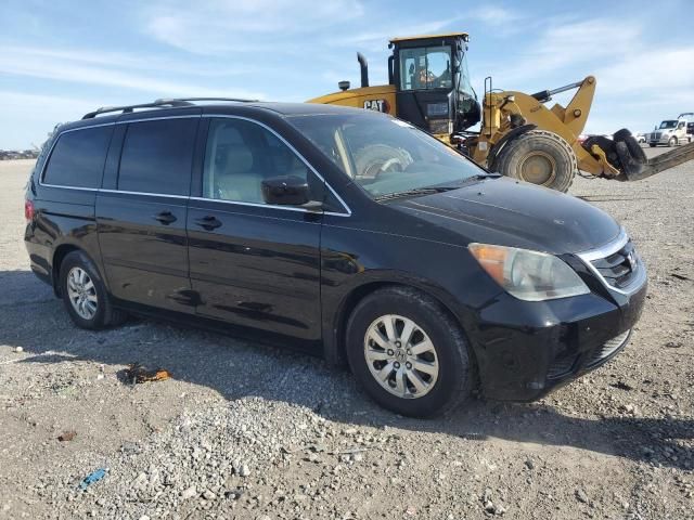 2009 Honda Odyssey EXL