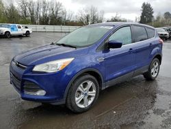 Ford Escape se salvage cars for sale: 2013 Ford Escape SE