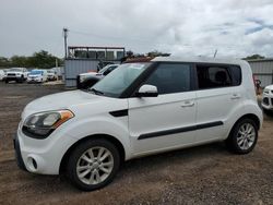 KIA Vehiculos salvage en venta: 2013 KIA Soul +