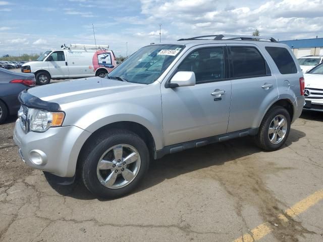 2010 Ford Escape Limited