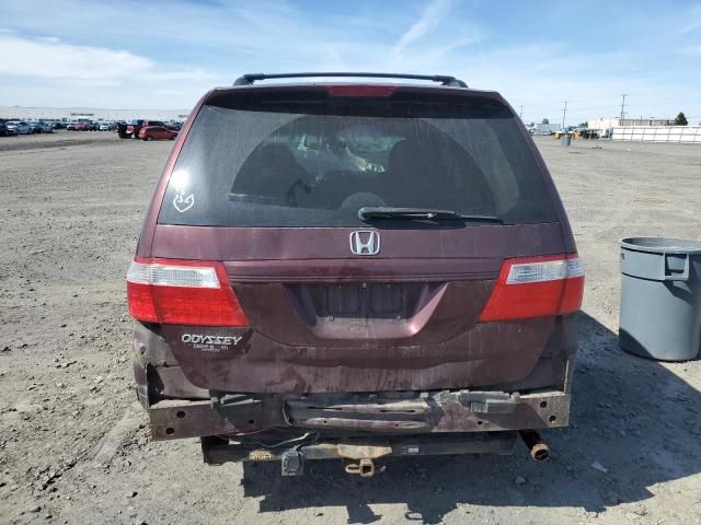 2007 Honda Odyssey EXL