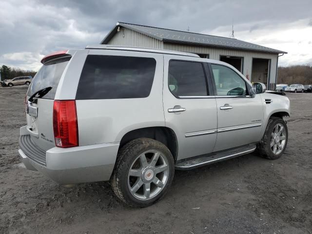 2011 Cadillac Escalade Luxury