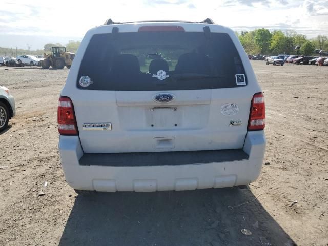 2011 Ford Escape XLT