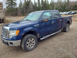 Salvage cars for sale from Copart Montreal Est, QC: 2010 Ford F150 Supercrew