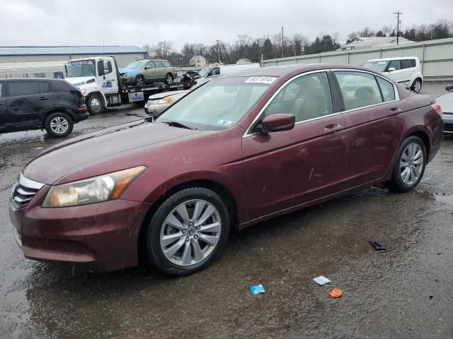 2011 Honda Accord EXL