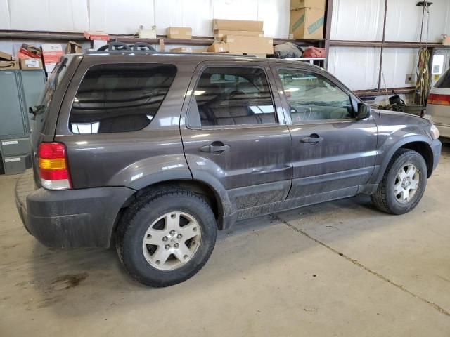 2007 Ford Escape XLT