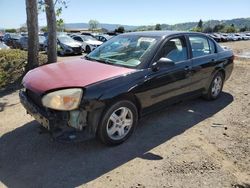 Chevrolet Malibu salvage cars for sale: 2004 Chevrolet Malibu LT