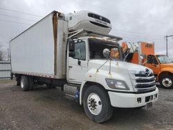 Hino 258/268 salvage cars for sale: 2017 Hino 258 268