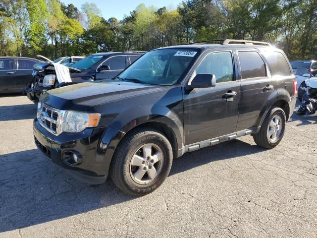 2009 Ford Escape XLT