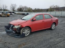 Salvage cars for sale from Copart Grantville, PA: 2010 Toyota Corolla Base