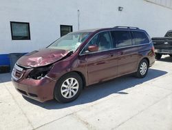 Salvage cars for sale at Farr West, UT auction: 2010 Honda Odyssey EXL