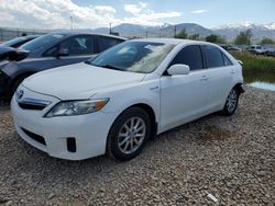 Toyota salvage cars for sale: 2010 Toyota Camry Hybrid