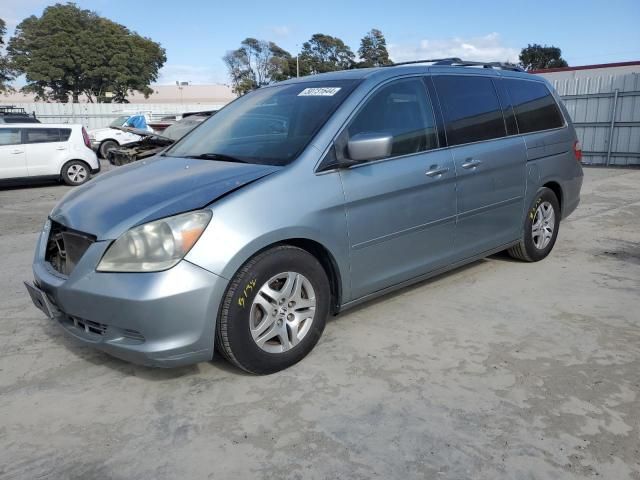 2005 Honda Odyssey EXL