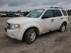 Cars Selling Today at auction: 2012 Ford Escape XLT