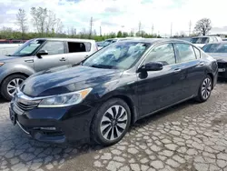 Honda Accord Hybrid salvage cars for sale: 2017 Honda Accord Hybrid