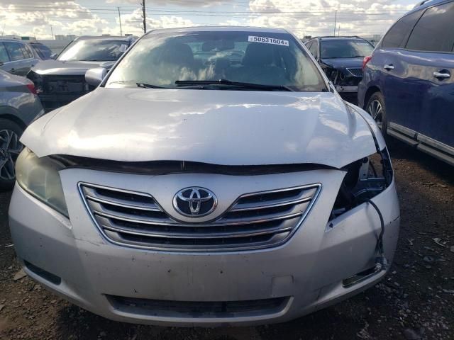 2009 Toyota Camry Hybrid